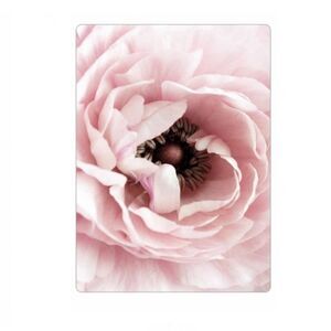 Flower Blossom Peony Magnet